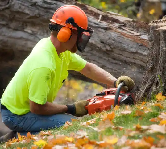 tree services Belding